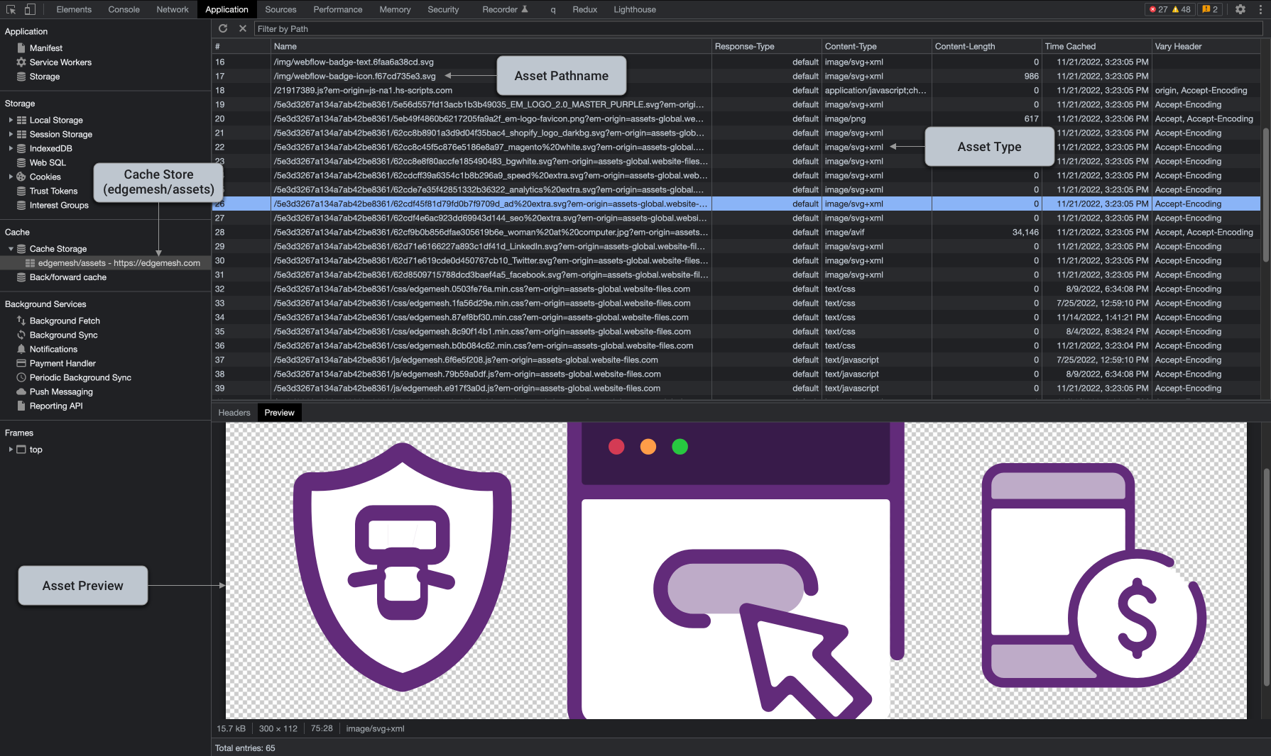 View Edgemesh Cache